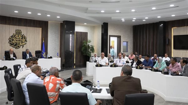 محافظ أسوان