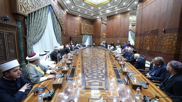 شيخ الأزهر من لقاء