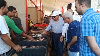 محافظ الدقهلية يتفقد سوق اليوم الواحد ويوجه بدراسة تحويله لسوق دائم