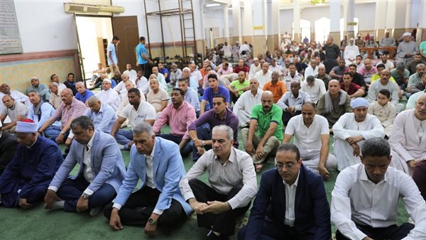 محافظ أسوان