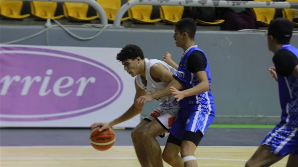 البطولة العربية لكرة