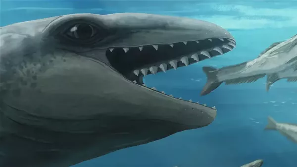 علماء يكتشفون حوت