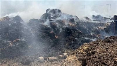 نفوق ماشية وماعز في حريق 3 منازل بكفر شكر بالقليوبية