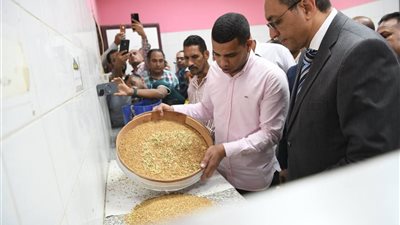 بزيادة 14 ألف طن عن العام الماضي.. انتهاء موسم توريد القمح في قنا