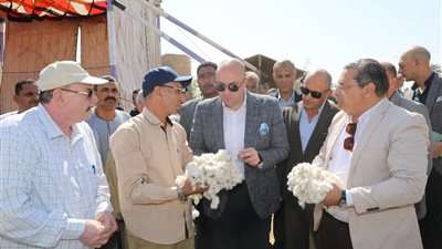 محافظ بني سويف يفتتح موسم جني القطن 2025 ويهنئ المزارعين بـ موسم الخير