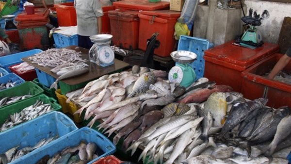 الأسماك - تعبيرية