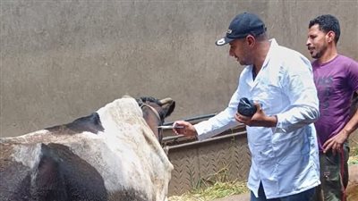 انطلاق الحملة القومية الثالثة للتحصين ضد الحمى القلاعية والوادي المتصدع بالمنوفية غدا