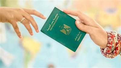 وزير الداخلية يوافق على رد الجنسية المصرية لـ 21 شخصًا