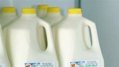 أم أمريكية تقاضي مزرعة ألبان بعد فقدان جنينها بسبب الحليب الخام.. ما القصة؟ 