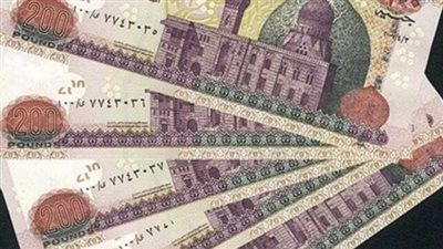 تفاصيل منحة المولد النبوي الشريف 2025 وكيفية الحصول عليها