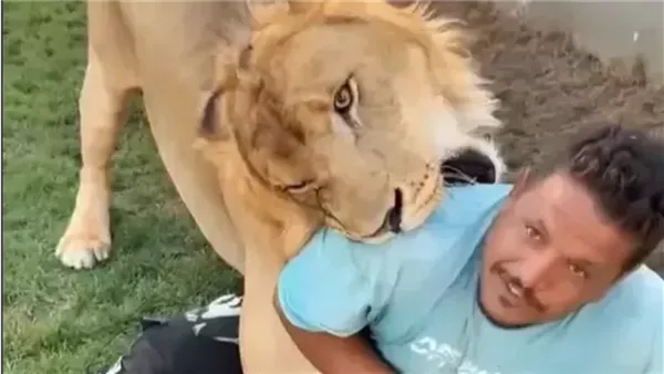 فيديو مزاح الأسد