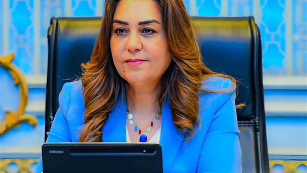 وزير التنمية المحلية