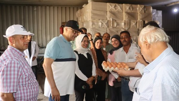 محافظ القليوبية