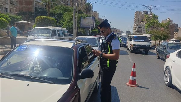 محافظ الدقهلية يتابع