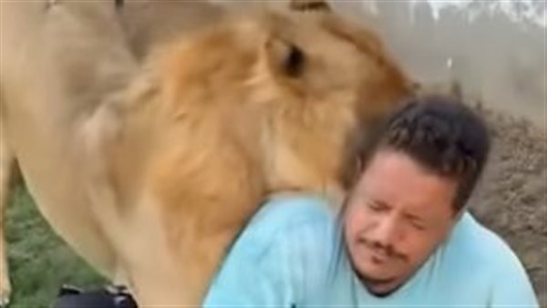 المجني عليه أثناء