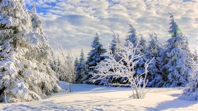 متى يبدأ فصل الشتاء 2025؟.. استعد لاستقباله بهذه الإجراءات