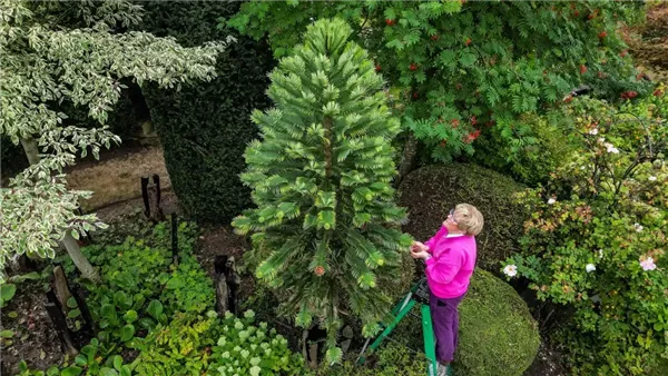  صورة تعبيرية 