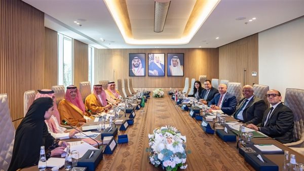 الاجتماع المصري السعودي