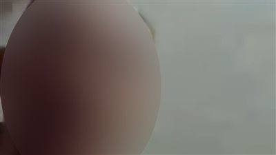 من البث المباشر إلى السجن.. تفاصيل سقوط تاجر مخدرات بحوزته 50 كيلو جرام شابو في قنا