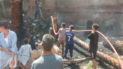 السيطرة على حريق أشجار نخيل بعد امتداده إلى منزلين بقرية الصفيحة في سوهاج | صور