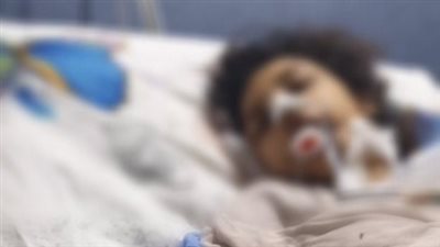 التحقيق في الاعتداء على فتاة خلال عودتها من حفل بالساحل الشمالي.. وأسرتها تتهم أصدقاءها