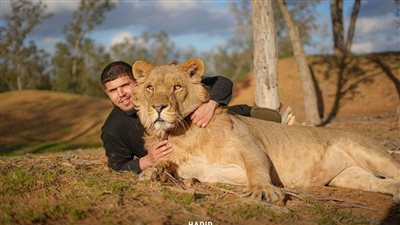 كل أمواله وحساباته تجمدت.. أول تعليق من أسرة الليبي صاحب الأسد بعد القبض عليه