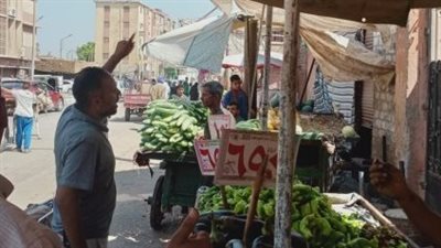 محافظ أسيوط: حملات مكبرة لإزالة إشغالات الباعة الجائلين والتعديات على الطرق بمدينة أبوتيج
