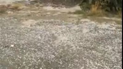 أمطار غزيرة وثلوج تضرب الطائف.. السلطات السعودية تحذر: ابتعدوا عن الأودية ومجاري السيول