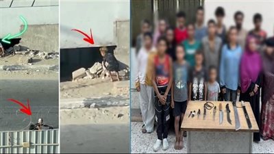 اتخاذ الإجراءات لإيداع الأطفال المضبوطين داخل الثقب الأسود إحدى دور الرعاية