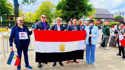 الجالية المصرية بهولندا: سنواصل التظاهر لدعم الدولة.. والإعلام الهولندي التقط الرسالة بوضوح
