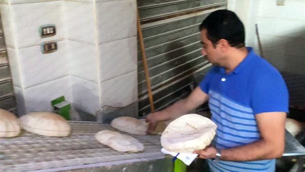 جانب من الحملات 