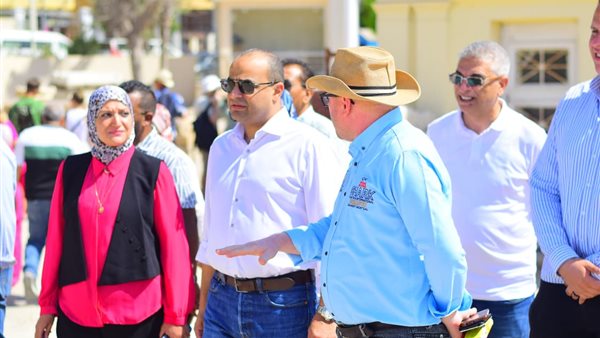 أمين الأعلى للآثار