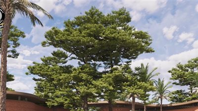 رئيس شركة تطوير حديقتي الحيوان والأورمان: سنعيدها لسابق عهدها قبل 150 عاما