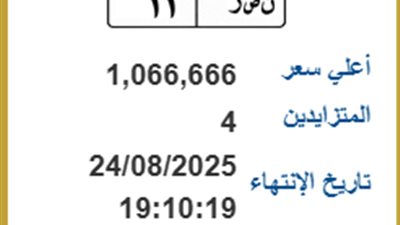 علم ونصر.. الداخلية تطرح مزاد لوحات مرور مميزة بأسعار تصل إلى مليون جنيه
