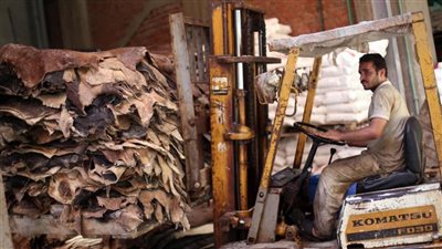 الحكومة تدرس إقامة منطقة صناعية لدباغة الجلود في العلمين