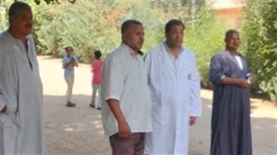 مدير الطب البيطري بالأقصر لـ القاهرة 24: النسناس الهارب بحجم القطة ولا يشكل أي خطر