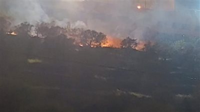 30 ناشطًا يحاولون حرق واقتحام جهاز الأمن الداخلي الإسرائيلي الشاباك