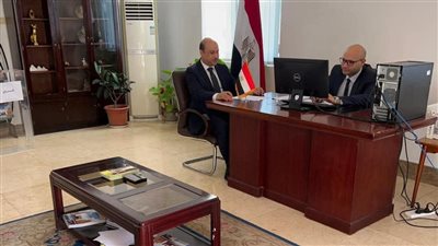 لجان الاقتراع بالخارج تفتح أبوابها أمام المصريين في جولة الإعادة لانتخابات الشيوخ 2025