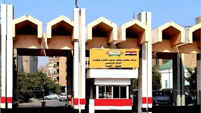 مطاحن جنوب القاهرة والجيزة تخطط لبيع 8 مواقع ومطاحن بعد تجاوز الخسائر نصف قيمة حقوق المساهمين