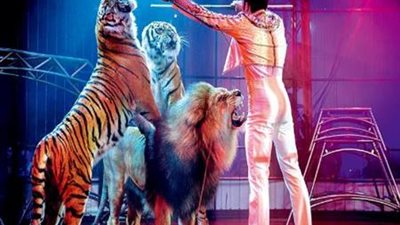 بعد واقعة أنوسة كوتة.. إحالة دعوى وقف استخدام الحيوانات في عروض السيرك بمصر للمفوضين