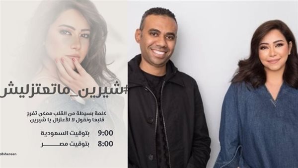 محمود المملوك وشيرين