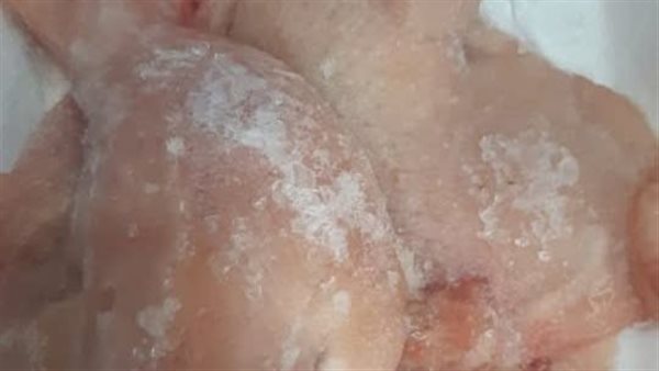 ضبط دواجن فاسدة في