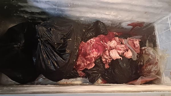 جانب من الحملة