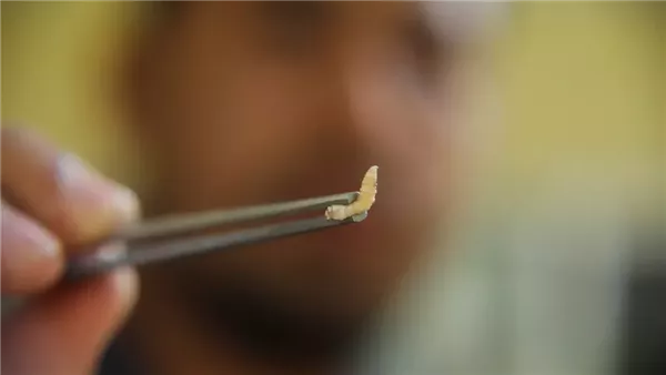  صورة تعبيرية 