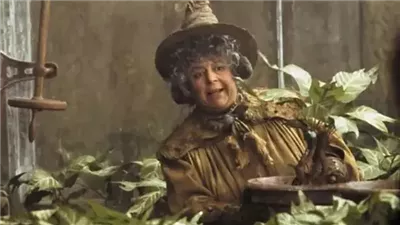  لتجنب نهاية مؤلمة.. ميريام مارجوليس نجمة هاري بوتر تفكر في القتل الرحيم