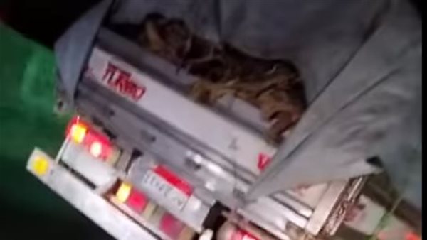 جانب من الفيديو 