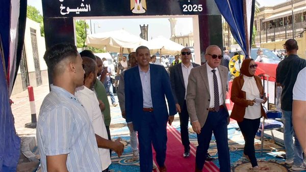 محافظ الأقصر يتفقد