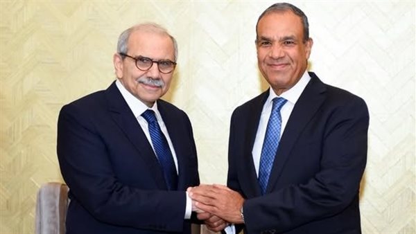 وزير الخارجية يلتقي