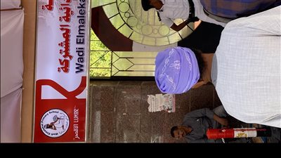 إقبال كثيف على لجان انتخابات الشيوخ بالأقصر وسط تأمين طبي شامل