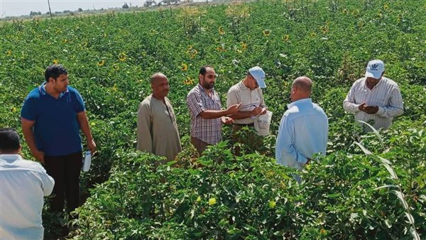 حملة توعوية